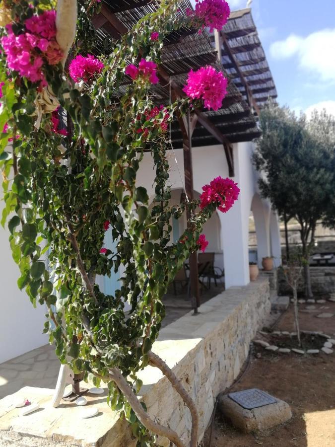 Gio St Gio Apartment 1 Antiparos St.Giorgio Eksteriør billede