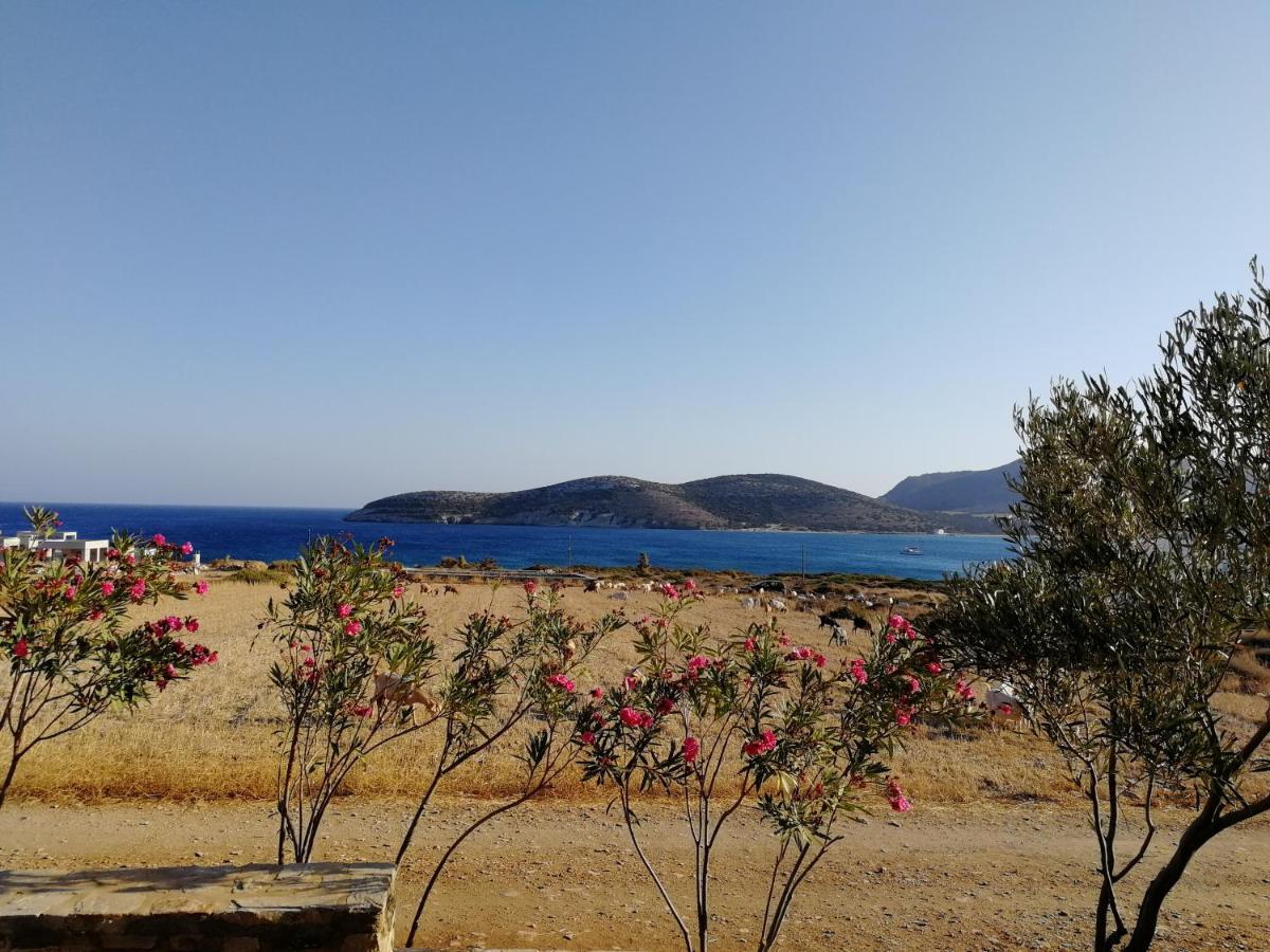 Gio St Gio Apartment 1 Antiparos St.Giorgio Eksteriør billede